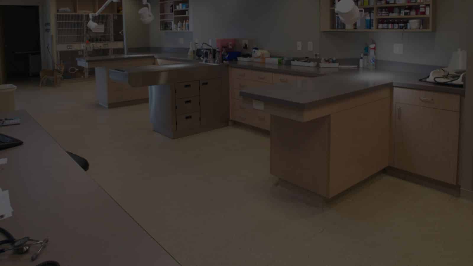 Seamless resinous floor in a veterinary and animal-care facility